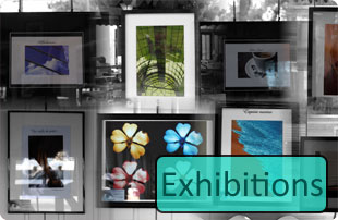 Exhibitions